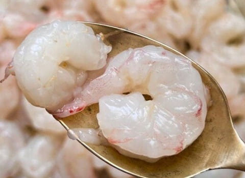تصویر 2 از خرید میگو جنوب + فروش ویژه